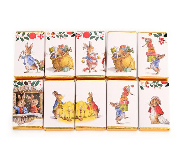 Peter Rabbit Festive Portraits - Ten Mini Milk Chocolate Bars - Image 2